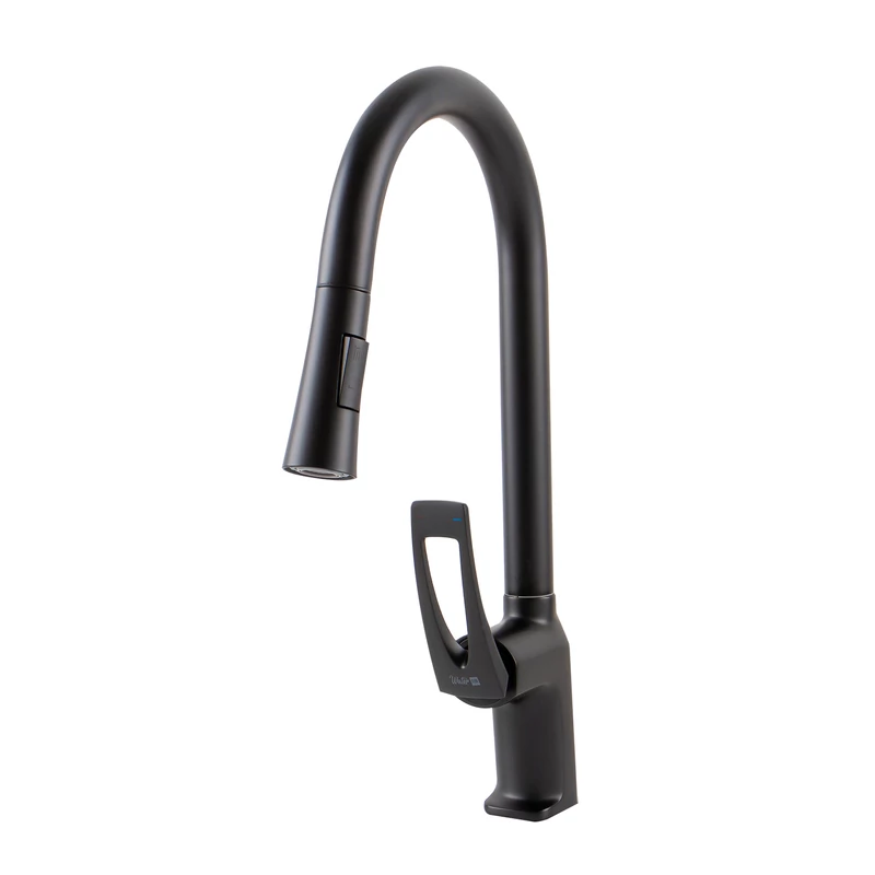 Cannes Black kuchyňská baterie